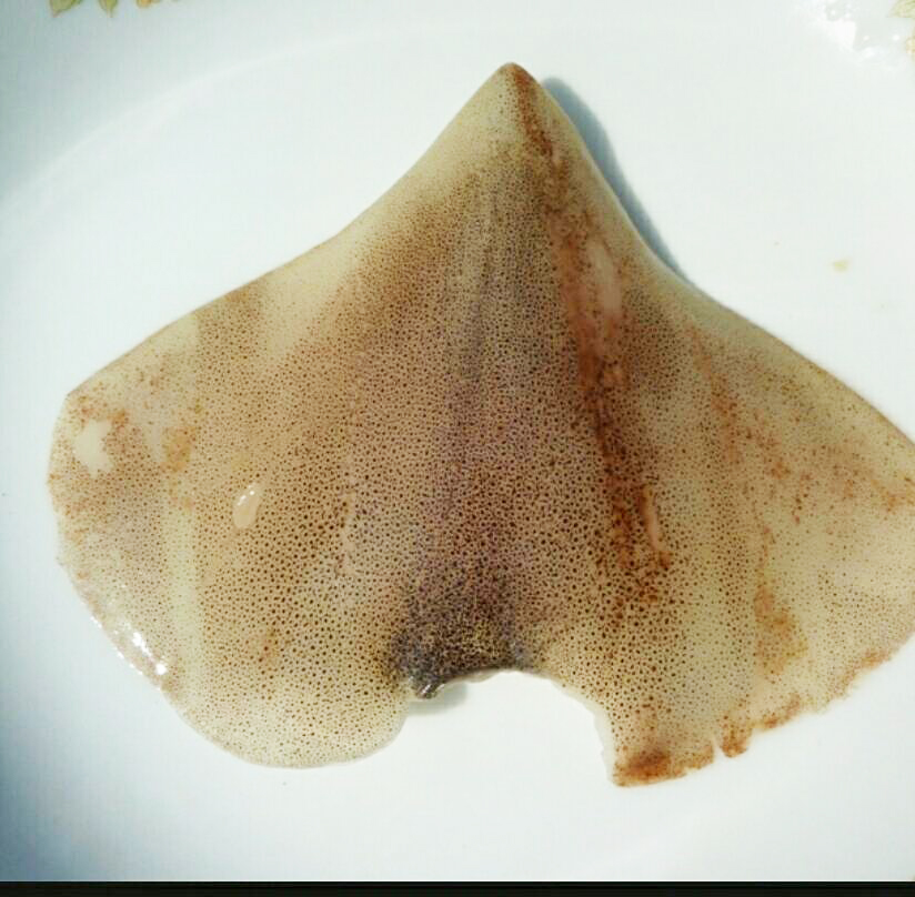 魷魚翅(生凍)-2k*10片(4000)