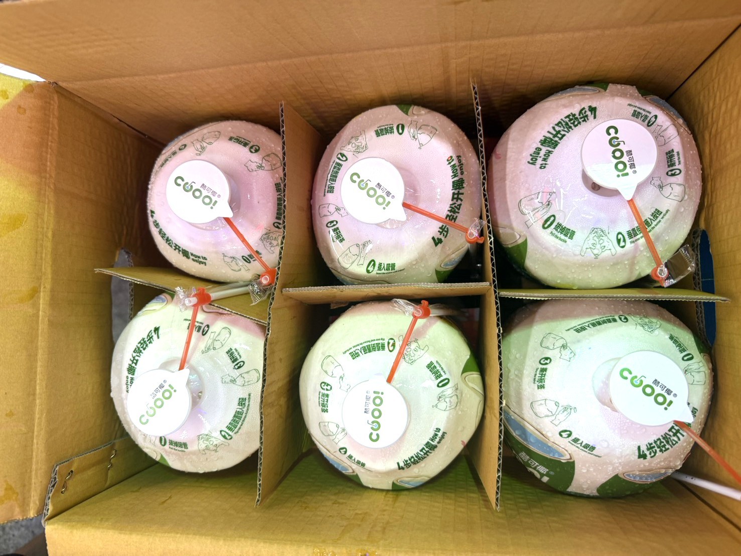 酷可椰6粒-約8K*1件(700)