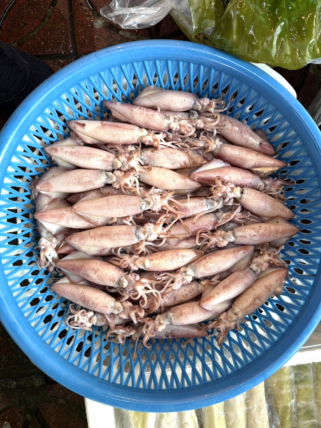帶卵熟小卷-600g*1包(580)