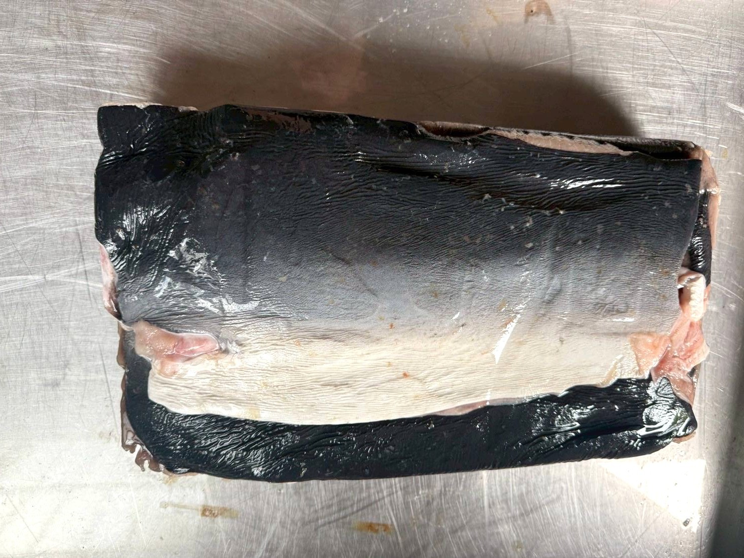 日本沙魚皮(未去沙)-15K*1件(800)-特價