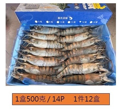 泰國蝦活凍14P-500g*1盒(250)