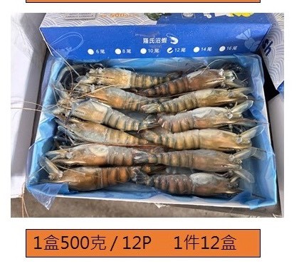 泰國蝦活凍12P-500g*1盒(260)