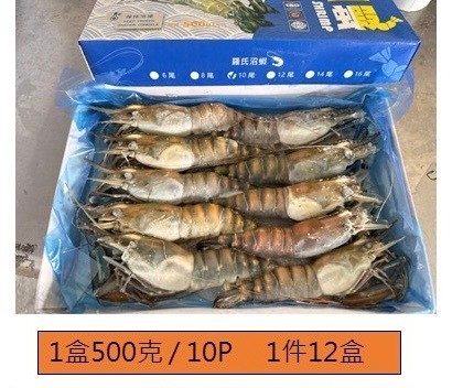 泰國蝦活凍10P-500g*20盒(5000)-預訂代購
