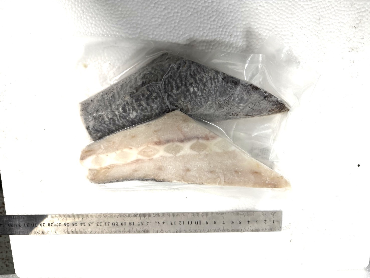 黑長鯧尾部剖半150-250g-10kg*1件(1500)-特價❤️(南極)