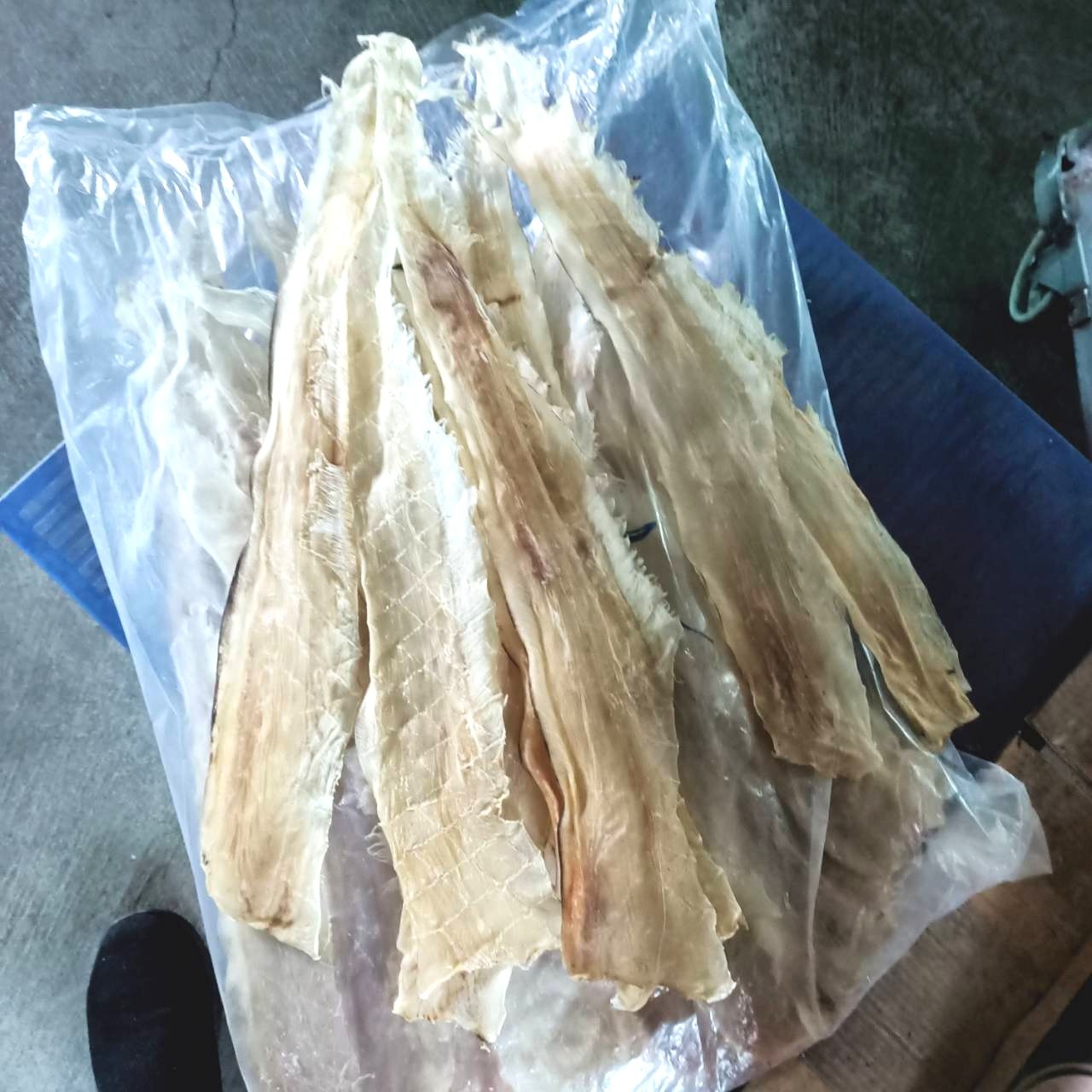 魚翅唇(乾燥)-600g*1包(1700)