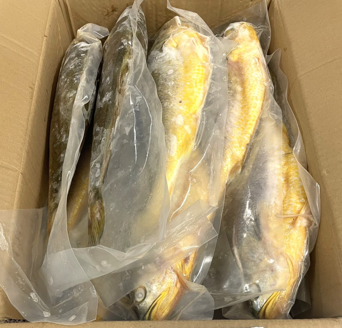 冷凍黃魚真空800-900g-10K*1件(4500)