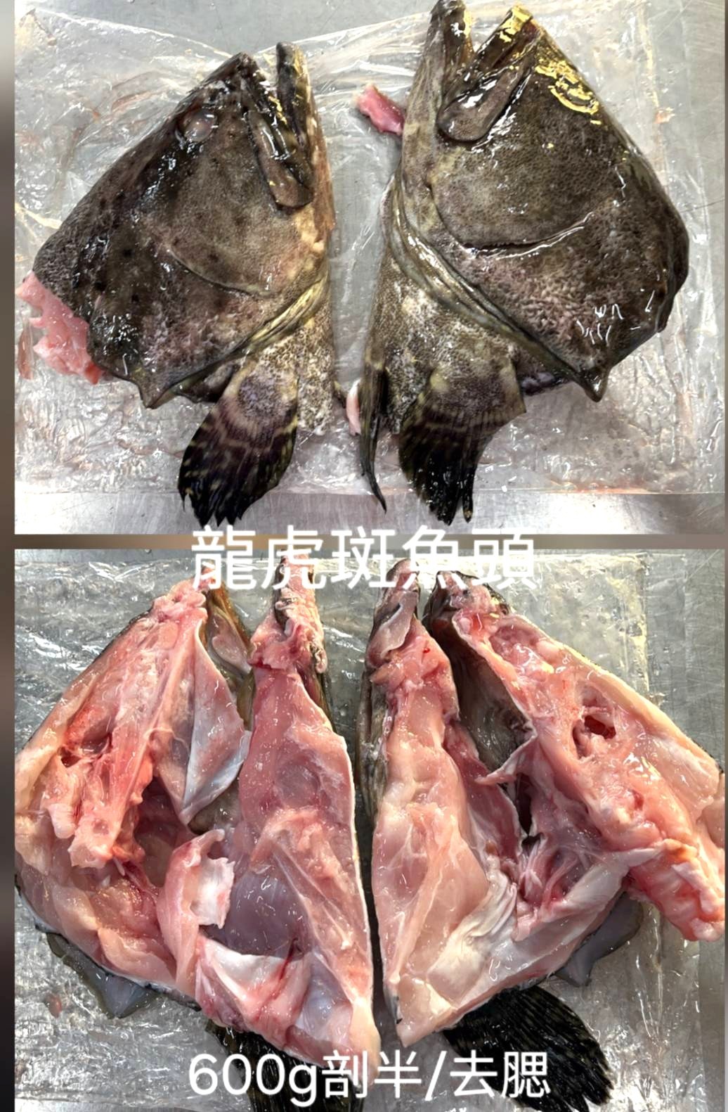 龍虎班魚頭剖半-12kg*1件(1800)