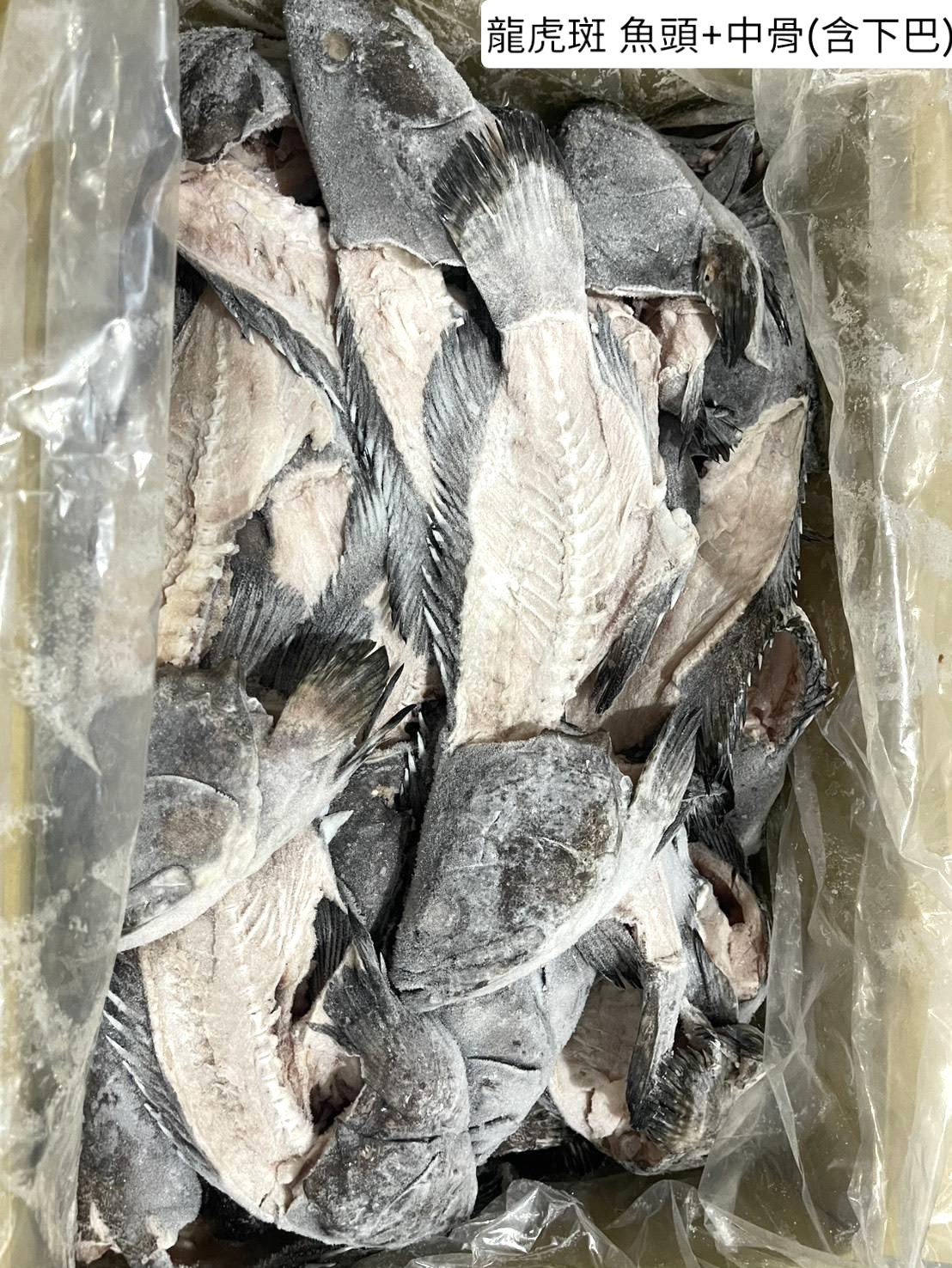 龍虎斑魚骨+頭(去腮)-15K*1件(1200)