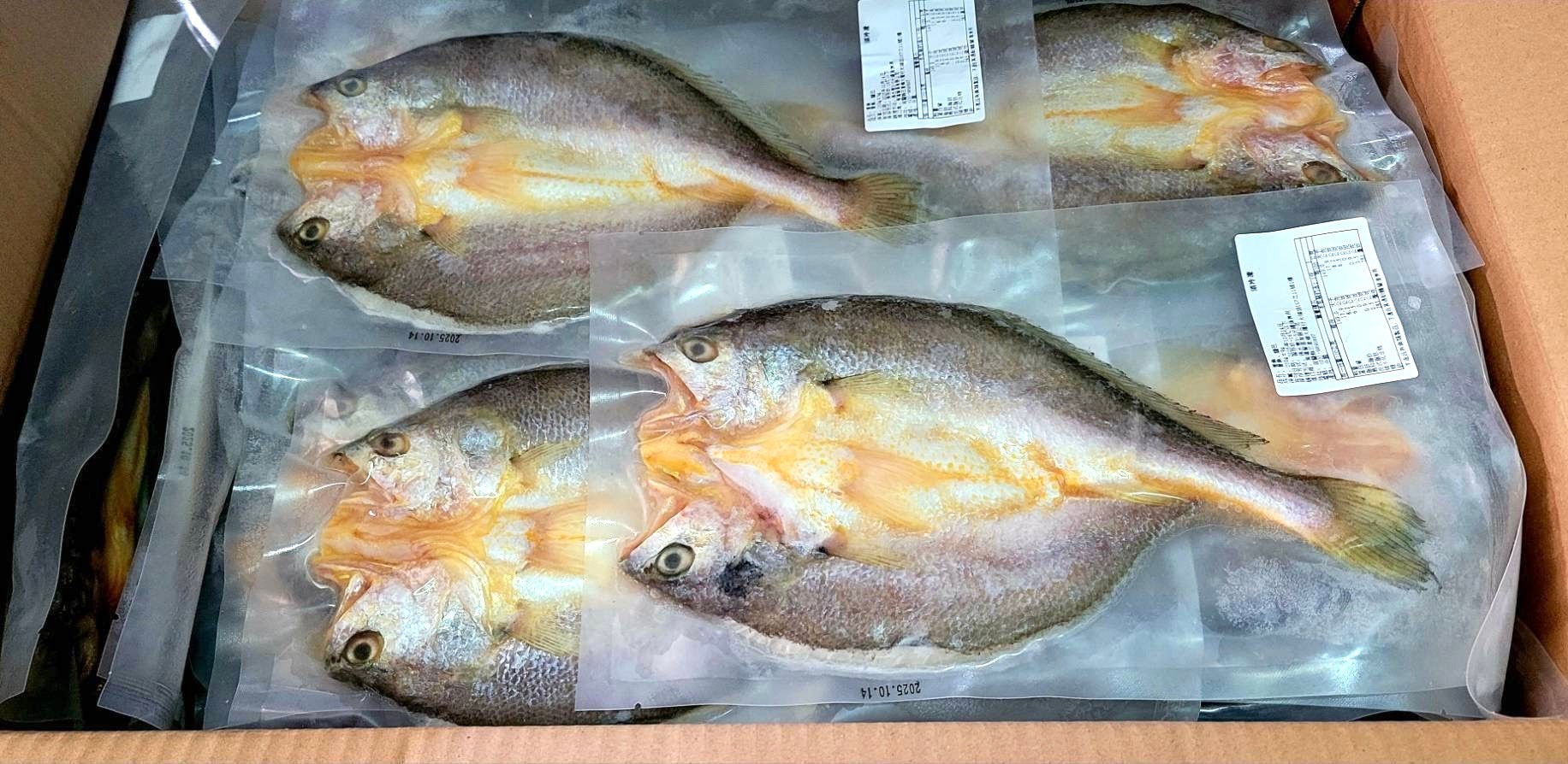 黃魚一夜干250-300g*1尾(150)