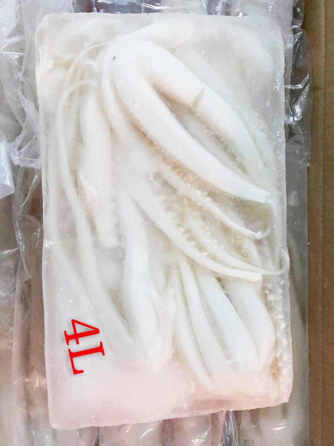 去皮魷魚足-秘足4L-1k*1片(250)