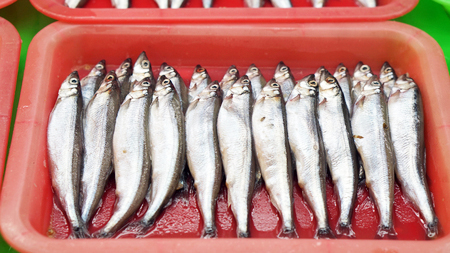柳葉魚單凍3KG*1件(750)