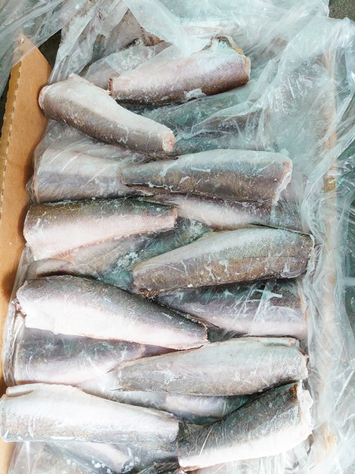 哈克魚中段 小鱈 1k 1包 150