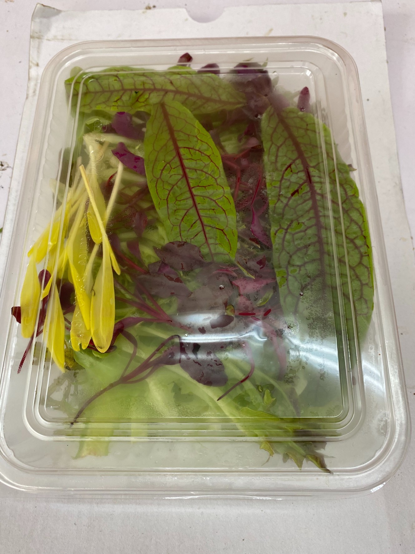 寶貝生菜-200g*1盒(250)-限台北桃園